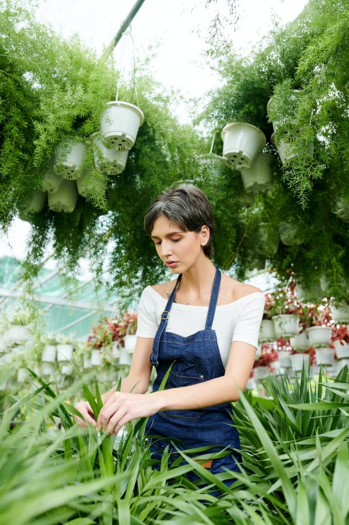 Botanist working in greenhouse