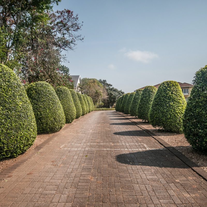 garden