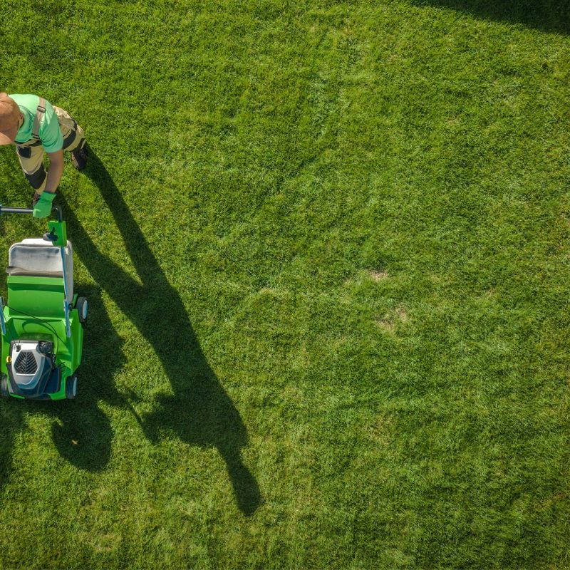 Gardener Moving Lawn
