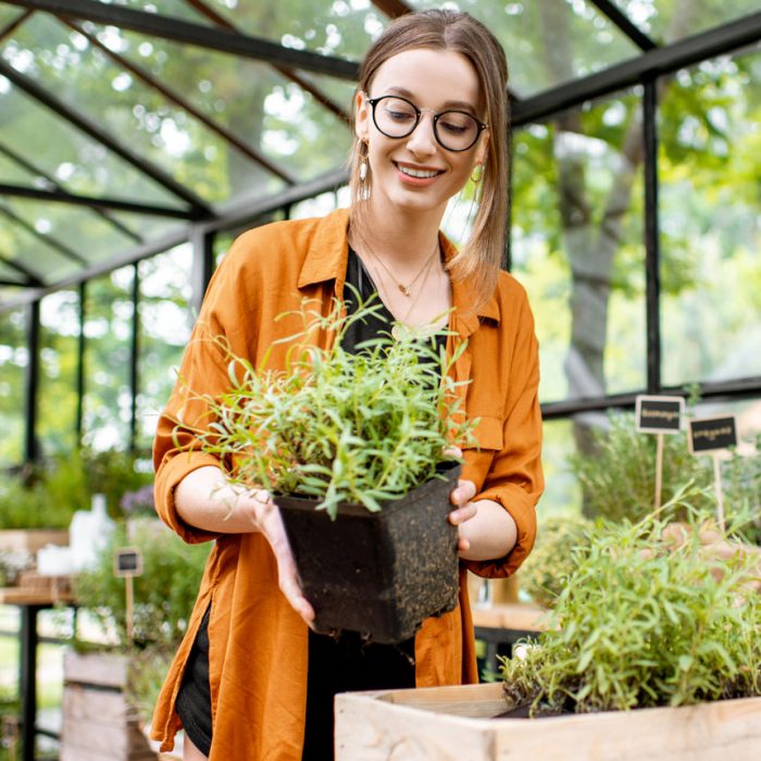 woman-with-herbs-and-flowers-in-the-greenhouse-2021-09-02-09-20-03-utc